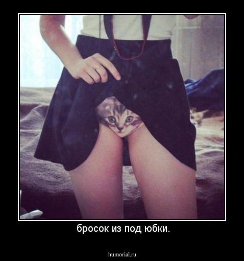  бросок из под юбки.