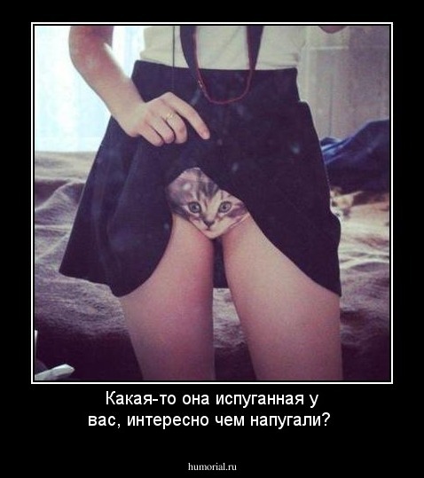 Какая-то она испуганная у вас, интересно чем напугали?