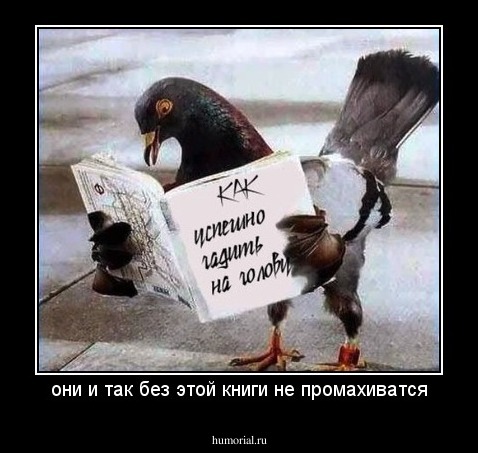они и так без этой книги не промахиватся