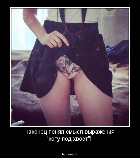 наконец понял смысл выражения "коту под хвост"!