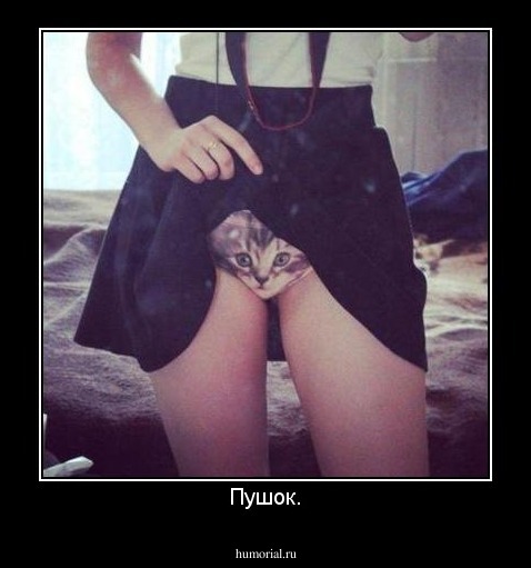 Пушок.