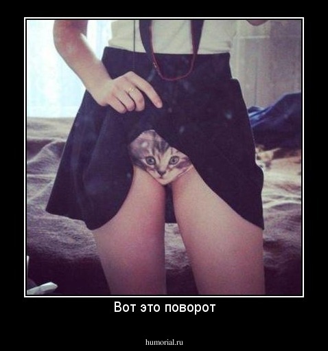 Вот это поворот