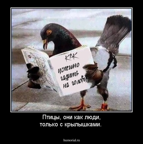 Птицы, они как люди, только с крылышками.