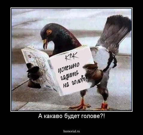 А какаво будет голове?!