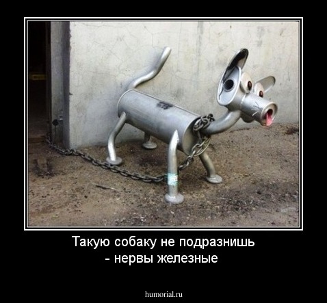 Такую собаку не подразнишь - нервы железные 