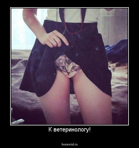 К ветеринологу!