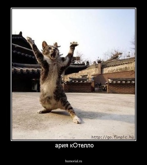  ария кОтелло