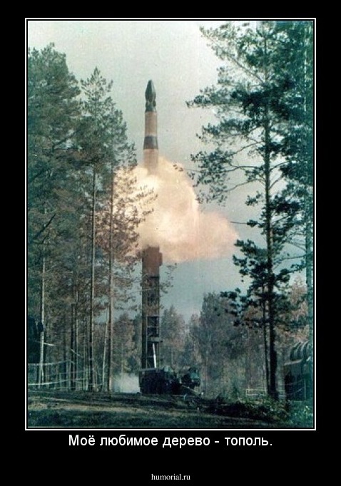 Моё любимое дерево - тополь.