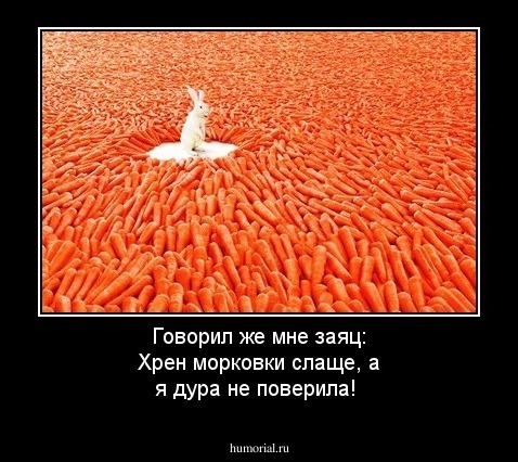 Говорил же мне заяц: Хрен морковки слаще, а я дура не поверила!