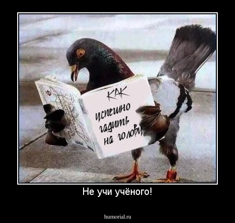 Не учи учёного!