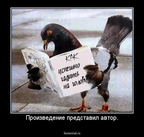 Произведение представил автор.
