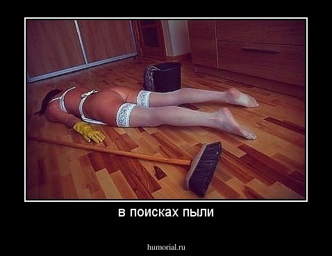 в поисках пыли