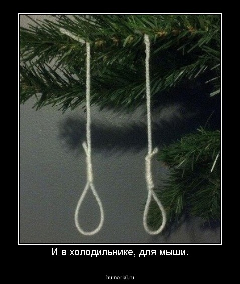 И в холодильнике, для мыши.