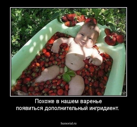 Похоже в нашем варенье появиться дополнительный ингридиент.