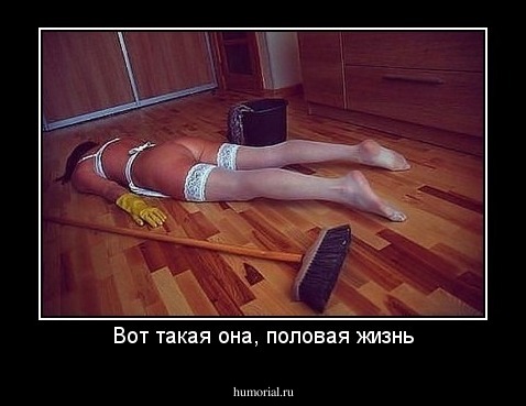 Вот такая она, половая жизнь