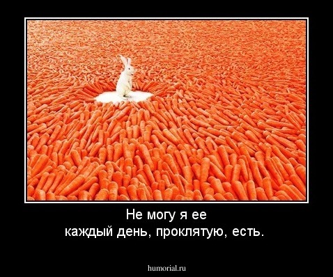 Не могу я ее каждый день, проклятую, есть.