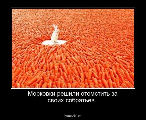 Морковки решили отомстить за своих собратьев.