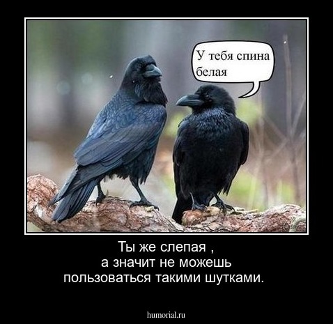 Ты же слепая , а значит не можешь пользоваться такими шутками.