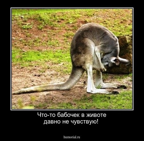 Что-то бабочек в животе давно не чувствую! 
