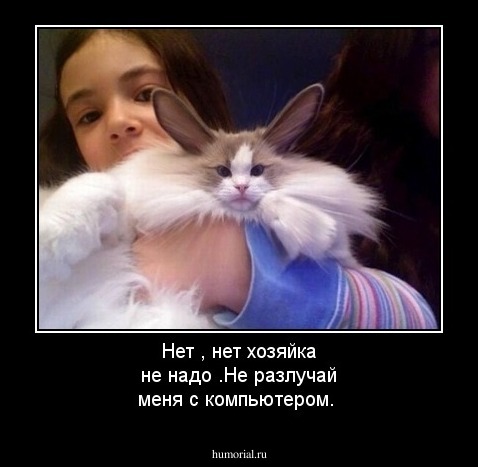 Нет , нет хозяйка не надо .Не разлучай меня с компьютером.
