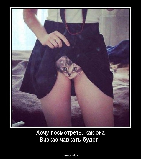 Хочу посмотреть, как она Вискас чавкать будет!