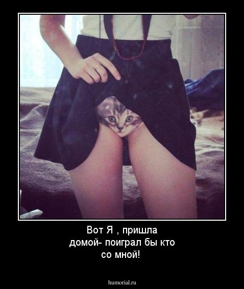 Вот Я , пришла домой- поиграл бы кто со мной!
