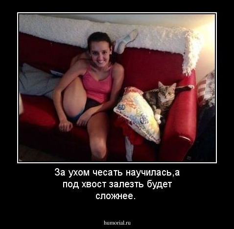 За ухом чесать научилась,а под хвост залезть будет сложнее.
