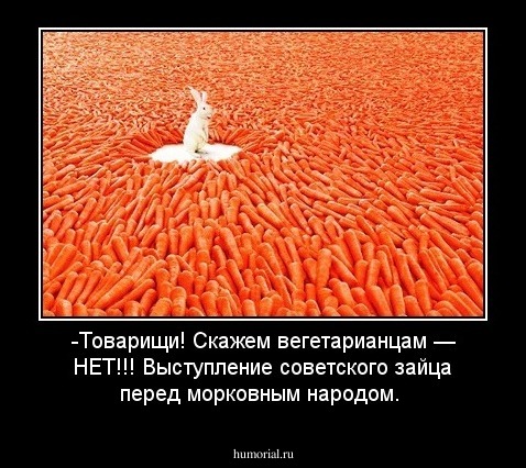 -Товарищи! Скажем вегетарианцам — НЕТ!!!
Выступление советского зайца перед морковным народом.