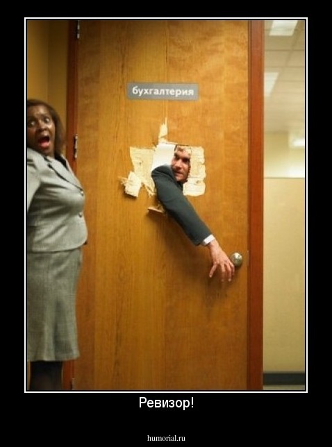 Ревизор!