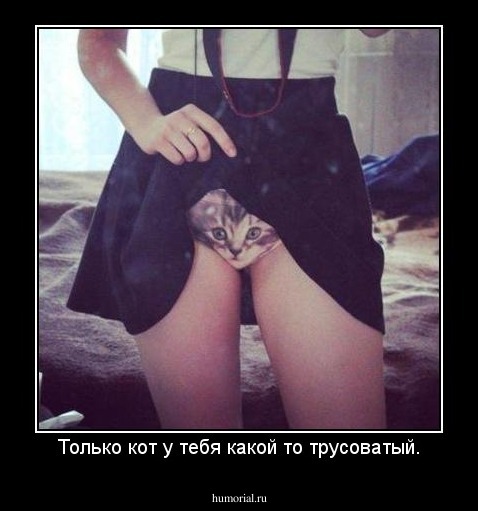 Только кот у тебя какой то трусоватый.