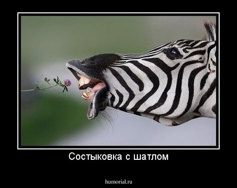 Состыковка с шатлом