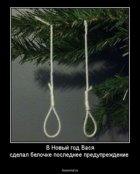 В Новый год Вася сделал белочке последнее  предупреждение 