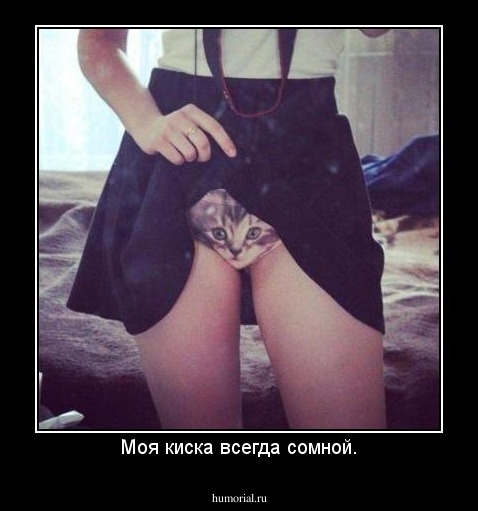 Моя киска всегда сомной.