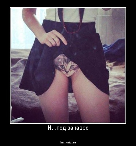 И...под занавес