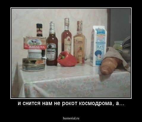 и снится нам не рокот космодрома, а...