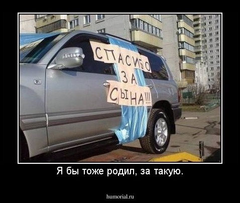 Я бы тоже родил, за такую.