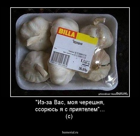 "Из-за Вас, моя черешня, ссорюсь я с приятелем"... (с)