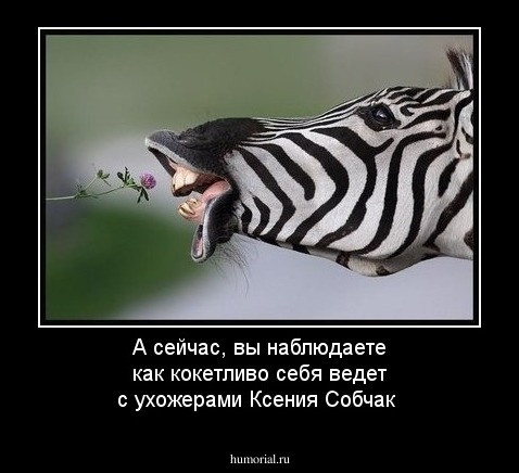 А сейчас, вы наблюдаете как кокетливо себя ведет с ухожерами Ксения Собчак