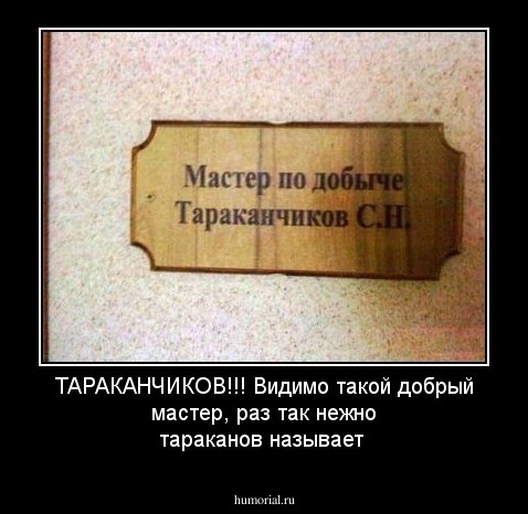ТАРАКАНЧИКОВ!!! Видимо такой добрый мастер, раз так нежно тараканов называет