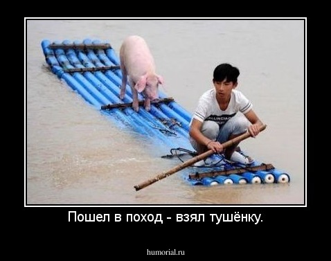 Пошел в поход - взял тушёнку.