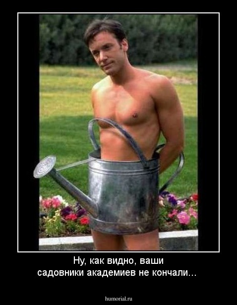 Ну, как видно, ваши садовники  академиев не кончали...