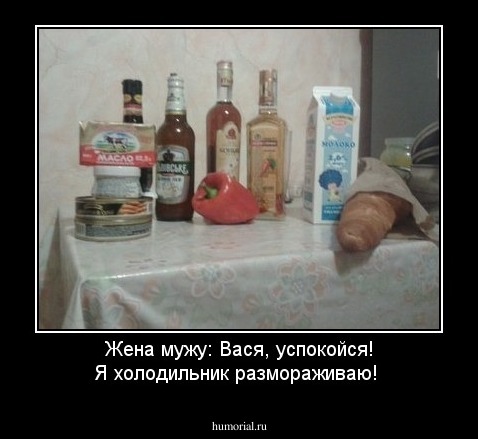 Жена мужу: Вася, успокойся! Я холодильник размораживаю!