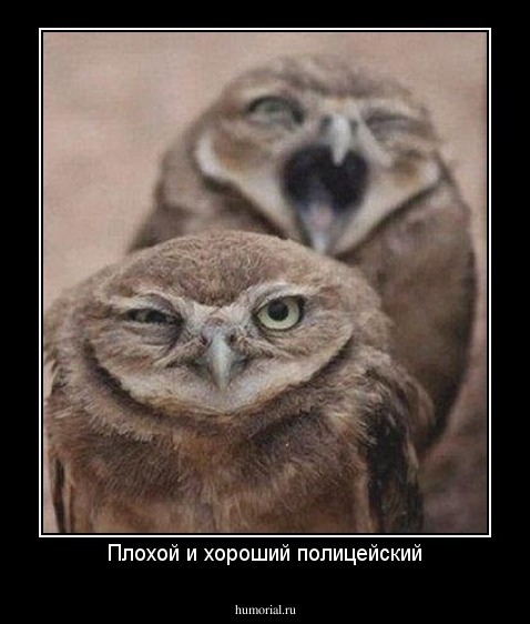 Плохой и хороший полицейский