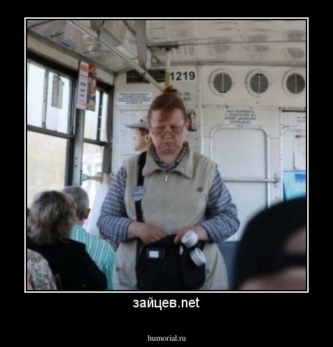 зайцев.net