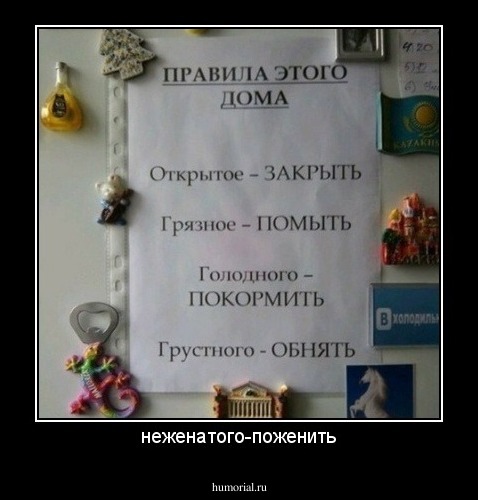 неженатого-поженить