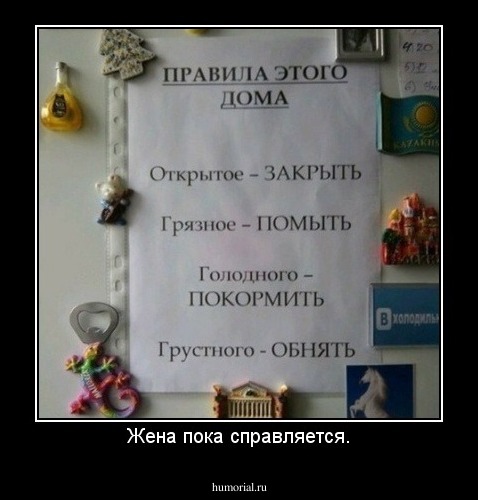 Жена пока справляется.