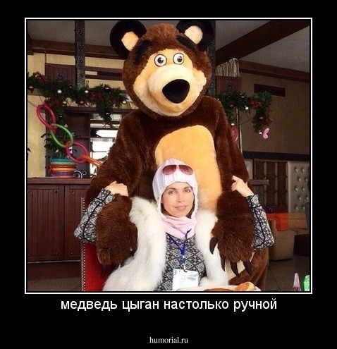 медведь цыган настолько ручной