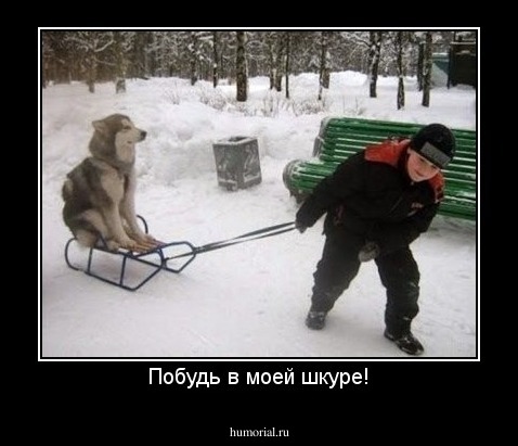 Побудь в моей шкуре!