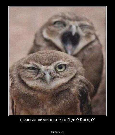 пьяные символы Что?Где?Когда?