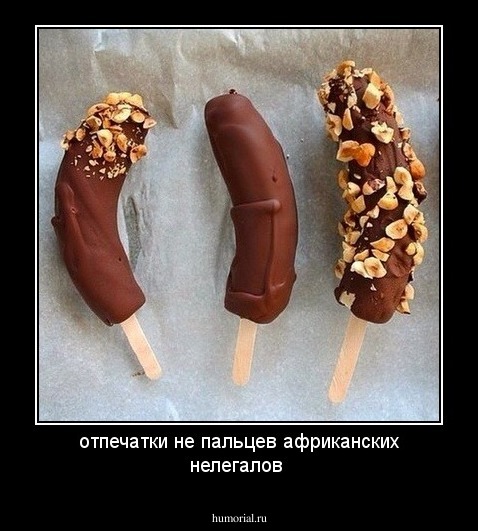отпечатки не пальцев  африканских нелегалов 